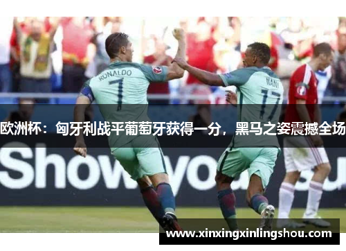 欧洲杯：匈牙利战平葡萄牙获得一分，黑马之姿震撼全场