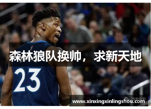 森林狼队换帅，求新天地