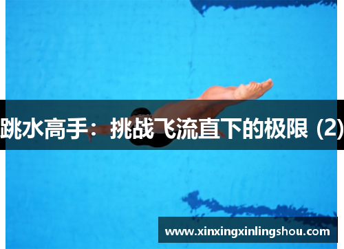 跳水高手：挑战飞流直下的极限 (2)