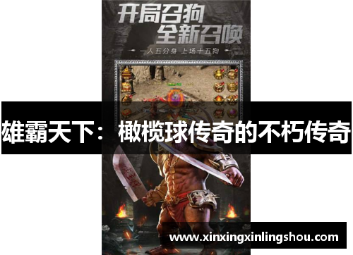 雄霸天下：橄榄球传奇的不朽传奇